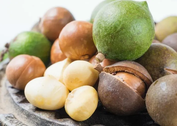 Ferienhaus Macadamia Retreat - Hygge *
